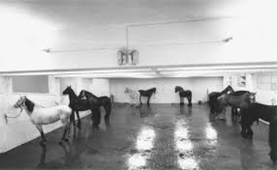 Levende Paarden, Jannis Koennellis, Galleria L’Attico in Rome, 1969